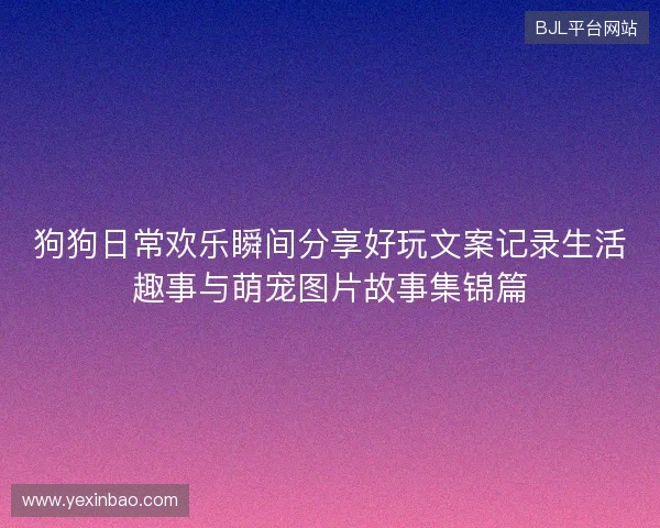 狗狗日常欢乐瞬间分享好玩文案记录生活趣事与萌宠图片故事集锦篇 狗狗日常欢乐瞬间分享好玩文案记录生活趣事与萌宠图片故事集锦篇