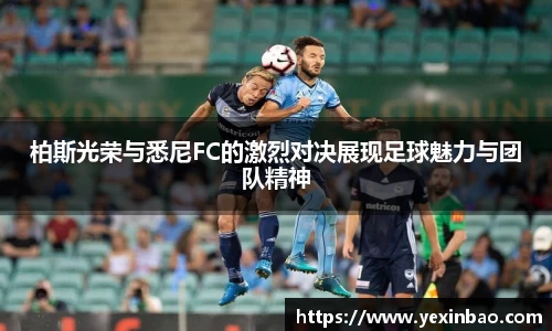 3377体育官网