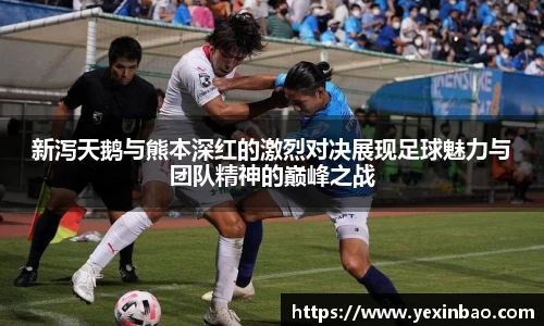 新泻天鹅与熊本深红的激烈对决展现足球魅力与团队精神的巅峰之战